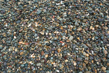 Sea pebble
