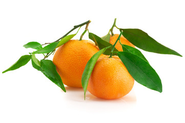 Fresh tangerines