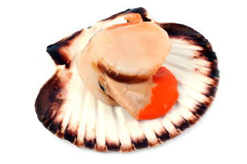 Noix et corail de saint jacques