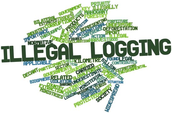 Word cloud for Illegal logging