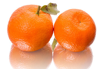Two tangerines on white