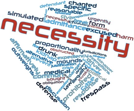 Word cloud for Necessity