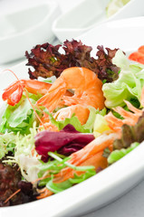 Shrimp Salad