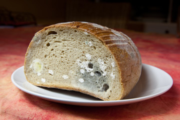 Mildew bread