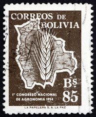 Obraz premium Postage stamp Bolivia 1954 Map of Bolivia