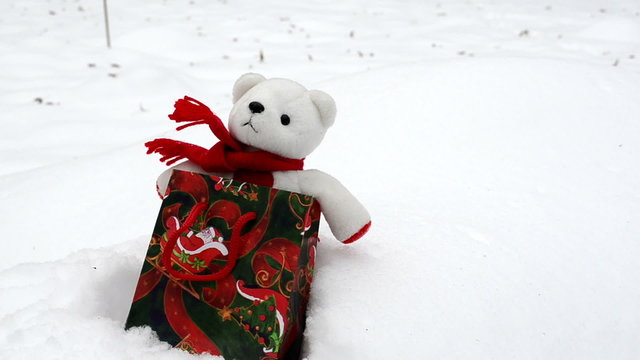 White plush teddy bear Christmas gift present bag snow