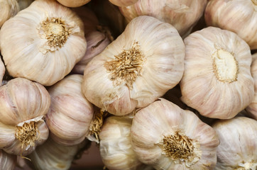 garlic