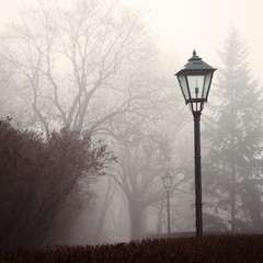 Street lamp and forest park in fog