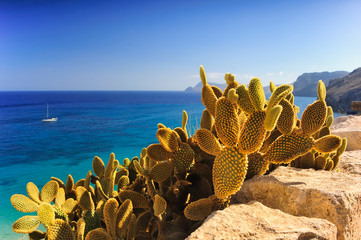 Mediterranean Sea - obrazy, fototapety, plakaty