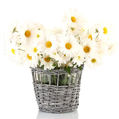 Fototapeta na wymiar daisies in vase isolated on white