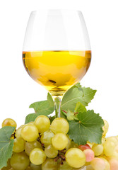 glass of wine and grapes, isolated on white