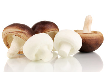 Fresh mushrooms isolated on white