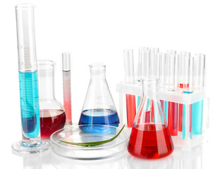 Test-tubes and green leaf tested in petri dish, isolated