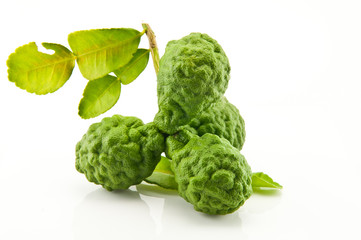 citrus hystrix on white background