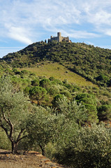 Fototapeta na wymiar Fortyfikacja w Langwedocja-Roussillon