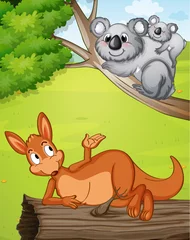 Een kangoeroe en koala& 39 s © GraphicsRF