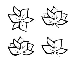 Black flowers illustration