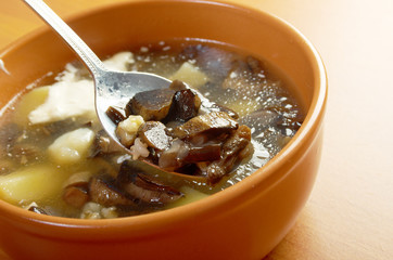 home made mushroom soup