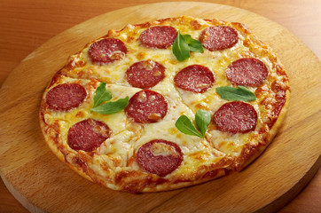 homemade  pizza  Pepperoni.Closeup