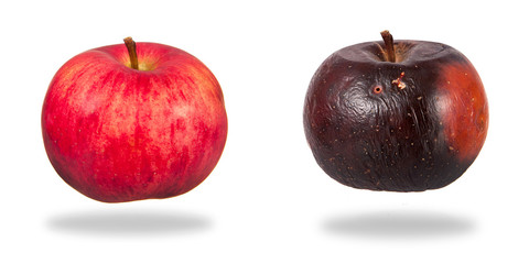 Red and rotten apples isolated