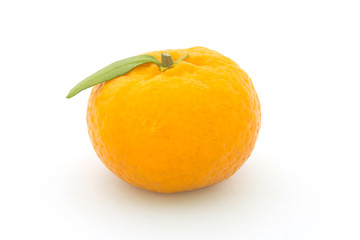 Orange fruit isolated on white