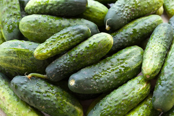 fresh green cucumber