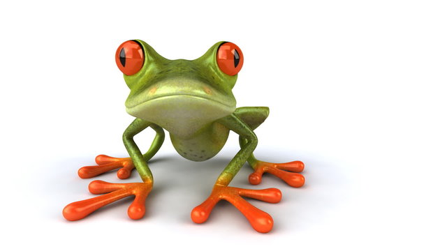 Fun frog