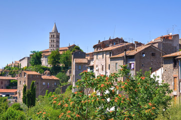 Fototapeta na wymiar Panoramiczny widok z Viterbo. Lacjum. Włochy.