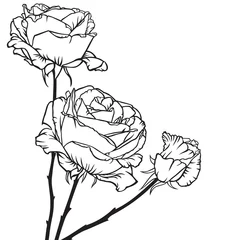Papier Peint photo Lavable Fleurs noir et blanc Bouquet de roses