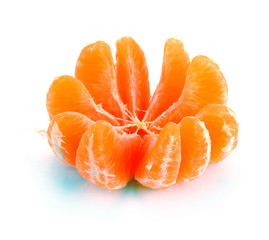 segments clementines