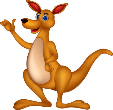funny kangaroo cartoon