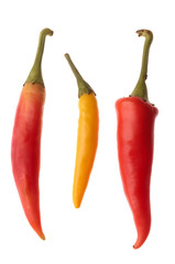 Hot chilli peppers isolated