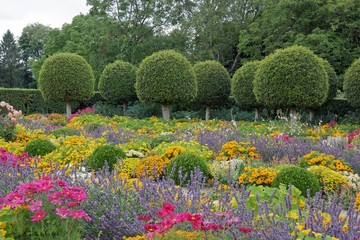 jardin à la française, fleurs et buis taillés.