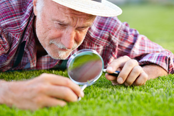 Close up of senior gardener cutting grass