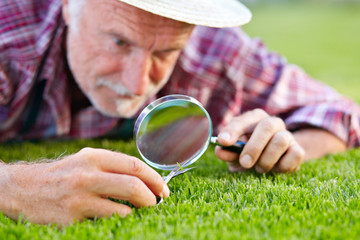 Close up of senior gardener cutting grass 2