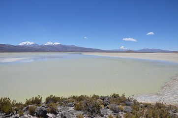 Laguna Chukewa, Volcan Acotango