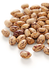 borlotti beans on a white background