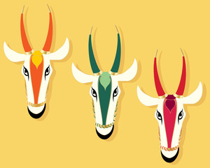 jain cow heads