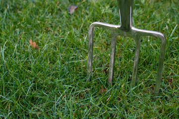Garden Fork stuck in Grass