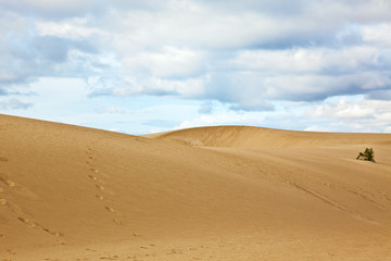 Sanddünen in der Wüste auf Fuerteventura