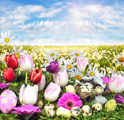 Frohe Ostern: wunderschöner Frühlingstag