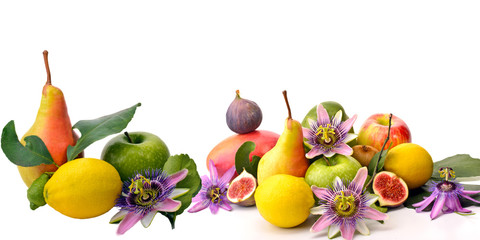 Obst: Früchte-Vielfalt, freigestellt vor weißem Hintergrund