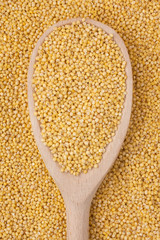 Wooden spoon with millet is on a bunch of millet
