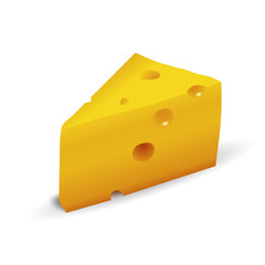 Cheese isolated on white vector