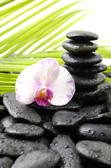 Stacked black stones and green palm leaf with orchid