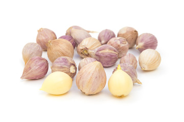 Garlic