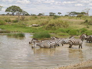 Fototapeta na wymiar przygody w Tanzanii