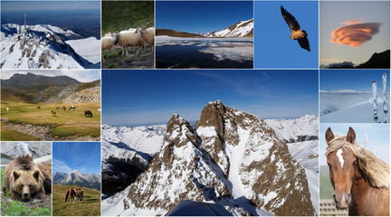 Les Pyrénées