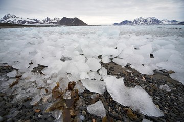 Arctic glaciers - Spitsbergen, Svalbard