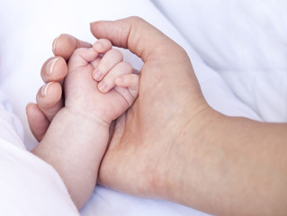 Mano nella mano